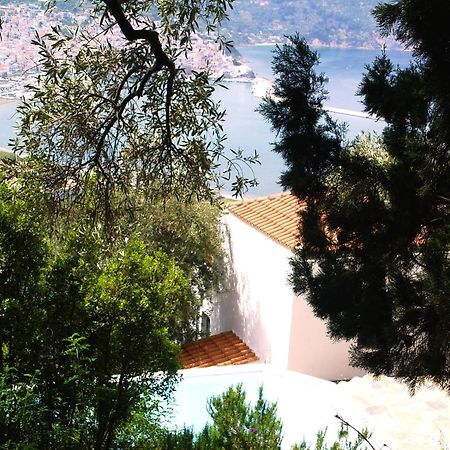 Villa Kalypso And Villa Kirki Skopelos Exteriér fotografie