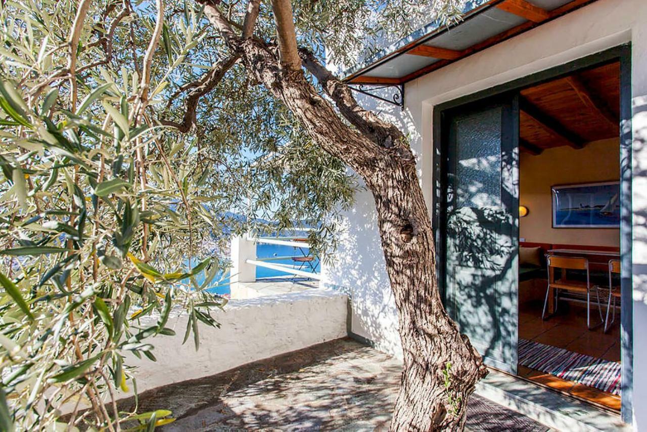Villa Kalypso And Villa Kirki Skopelos Exteriér fotografie